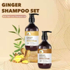 OEM Wholesale 300 Ml Ginger Hair Growth Shampoo Oil Control Anti-hair Loss Hair Care Shampoo And Conditioner