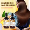 OEM Wholesale 300 Ml Ginger Hair Growth Shampoo Oil Control Anti-hair Loss Hair Care Shampoo And Conditioner