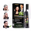 OEM 2 In 1professional Permanent Wholesale Easy Shampoo Natural Black Hair Dye Color Cream With Comb