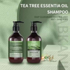 OEM Herbal Plant Hair Grow Shampoo Hair Loss Treatment Organic Ginger Tea Tree Oil And Rosemary Mint Shampoo And Conditioner