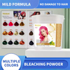 OEM Best Professional Ammonia Free Blonde Bleach Powder Organic Hair Bleach Powder For Hair Lightening Factory Wholesale