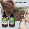 OEM Herbal Plant Hair Grow Shampoo Hair Loss Treatment Organic Ginger Tea Tree Oil And Rosemary Mint Shampoo And Conditioner