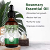 OEM Natural Herbal Organic Rosemary Fast Hair Growth Serum For Hair Loss Treatment Hair Growth Oil For Black Women Private Label