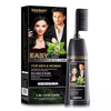 OEM 2 In 1professional Permanent Wholesale Easy Shampoo Natural Black Hair Dye Color Cream With Comb